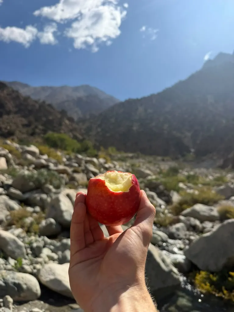 A hand holding up a fresh apple against the mountains