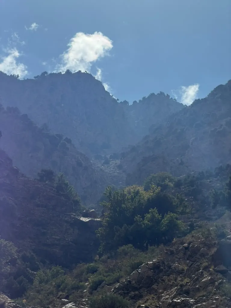 Jagged High Atlas peaks above a green gorge